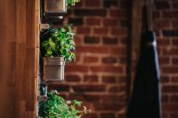Fancy interior with a red brick wall and green plants