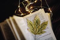 Leaf, book, fairy lights