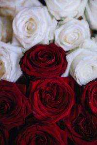 White And Red Roses Bouquet