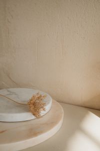 Kaboompics - Textured Harmony: Natural Forms and Shadows in Still Life Decor
