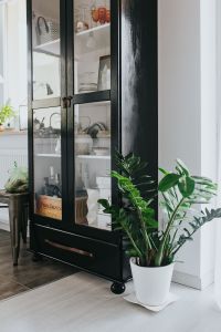 Black cupboard with a green plant