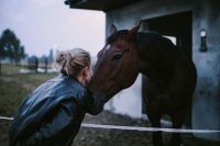 Woman greeting with a brown horse