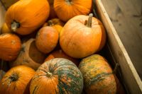 Kaboompics - Close-ups of pumpkins in a wooden box
