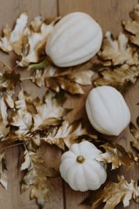 Kaboompics - White pumpkins with golden oak leaves