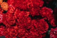 Close-up of a red flower bouquet