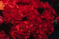 Close-up of a red flower bouquet