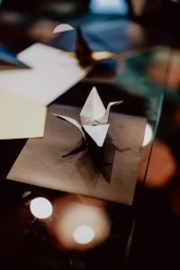 Kaboompics - Origami Bird