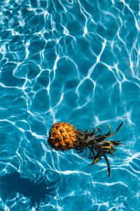 Baby Pineapple in a swimming pool