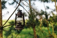 Old paraffin lamp on a tree