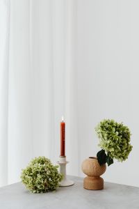 Kaboompics - Green hydrangea - candle