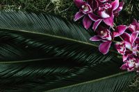 Kaboompics - Tropical arrangement with dendrobium and sago palm