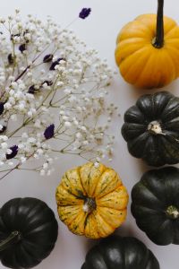 Kaboompics - Small yellow and dark green pumpkins on a white background