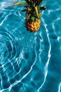 Baby Pineapple in a swimming pool