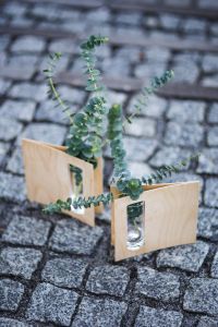 Miniature green plants in a small glass on cobblestone