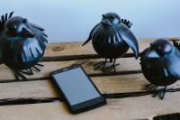 Kaboompics - Little black plastic birds with a smartphone on a shelf