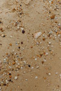 Sand beach background with sea shells & pebbles - many round small stones