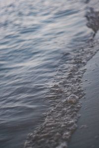 Close-up of water on a beach