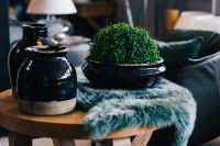 Green plant in a black pot with black jars and a soft cyan rug