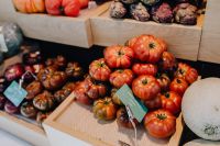 Kaboompics - A fresh tomatoes assortment displayed at San Miguel Market