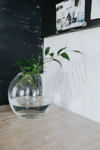 Kaboompics - Home decor with green plants