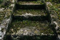 Moss covered stairs