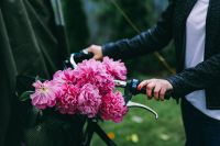 Woman holding a bicycle with beautiful pink flowers in the basket