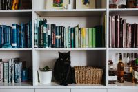 Kaboompics - Black cat by a wicker basket on a white bookcase shelf