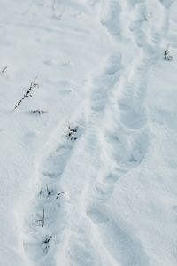 boot tracks in the snow