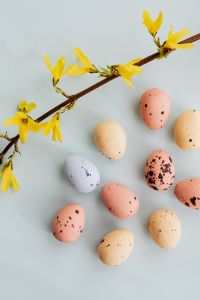 Easter Eggs & Forsythia