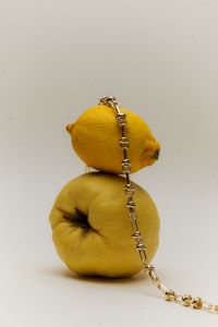 Kaboompics - Quince and Lemon Balanced With Gold Chain Necklace