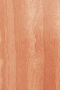 Kaboompics - PANTONE 13-1023 Peach Fuzz - Color of the Year 2024 Wallpapers and Backgrounds for Free Download