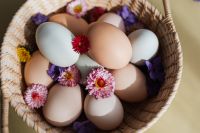 Kaboompics - Eggs basket