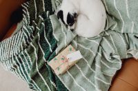 Christmas - a small dog with a gift on the sofa