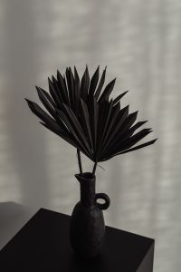 Black dried palm leaves - black ceramic vase - backgrounds