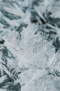 Snowflakes on a frozen lake - background - wallpaper