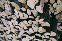 Kaboompics - Wooden logs
