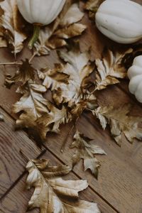 White pumpkins with golden oak leaves