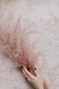 Pink marble background, female hand and pampas grass