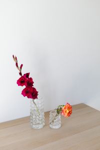 Neutral backgrounds - flowers in vases