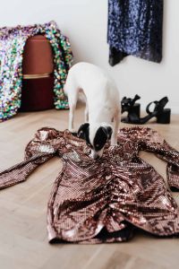 Kaboompics - colored sequin dresses and boots lie on a wooden parquet, blue dress hang on the white wall, White Dog