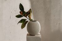 Kaboompics - Nature and Craftsmanship - Delicate Flowers in Handmade Ceramic Vessels - Home Accessories