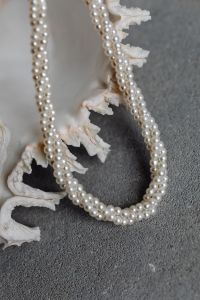 Kaboompics - A large shell with a pearl necklace on it
