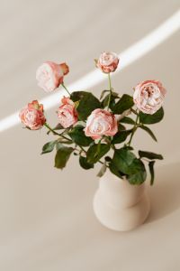Kaboompics - Bombastic rose