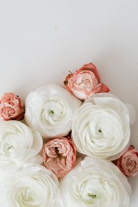 Kaboompics - White buttercups & pink roses