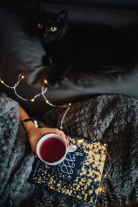 Kaboompics - Young woman with black cat reading Hygge book and drinking coffee or tea