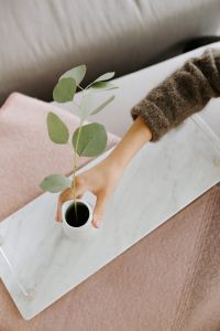 White marble tray with vase with eucalyptus branch