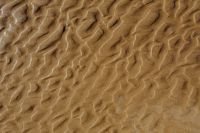 The abstract line designed by water up on sand texture