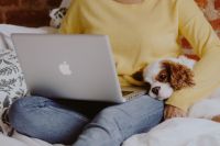 A woman in a yellow sweater with a sweet dog uses a laptop