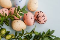 Kaboompics - Easter Eggs & Buxus - Boxtree - Boxwood