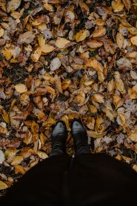 Kaboompics - From Where I Stand - autumn leaves & black shoes